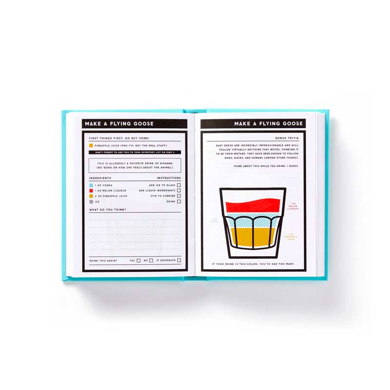 drink journal containing lots of fun cocktail recipes