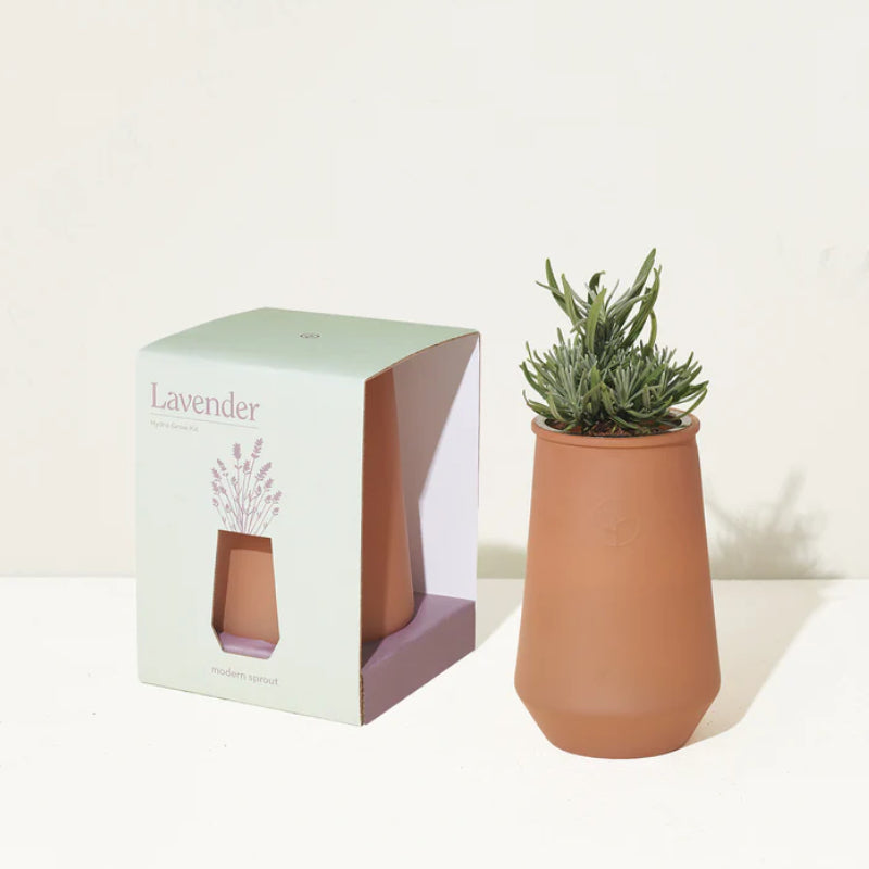 Grow kit with lavender seeds and a self-watering container